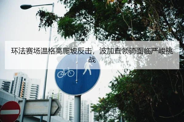 环法赛场温格高爬坡反击，波加查领骑面临严峻挑战